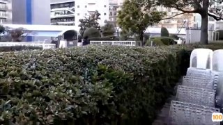 夫妻记事(小强)_夫妻记事全文阅读 - 39小说网